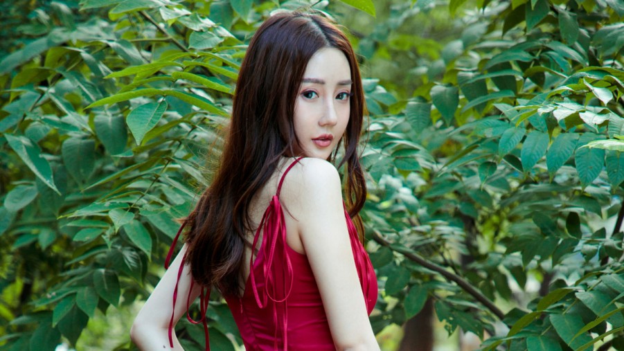 杨志宏头像