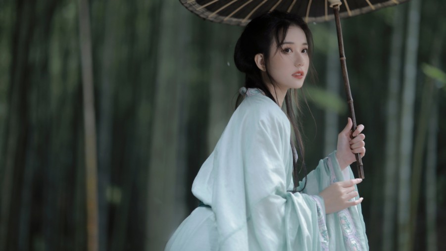 提升网站排名的利器——SEO快速优化软件