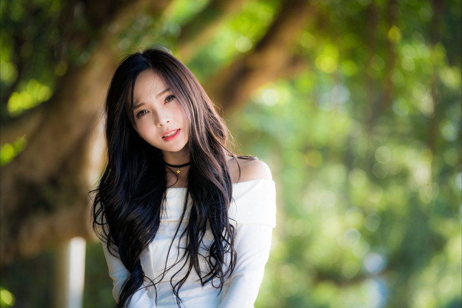 蜘蛛池与优化